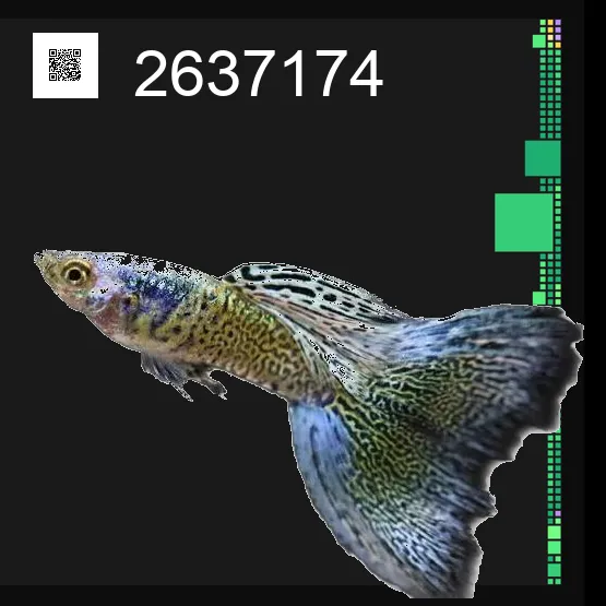 inscription 024b95fdcf1c367119e23af211aac67009f5555f7ebc6095ff020e033659c7eei0