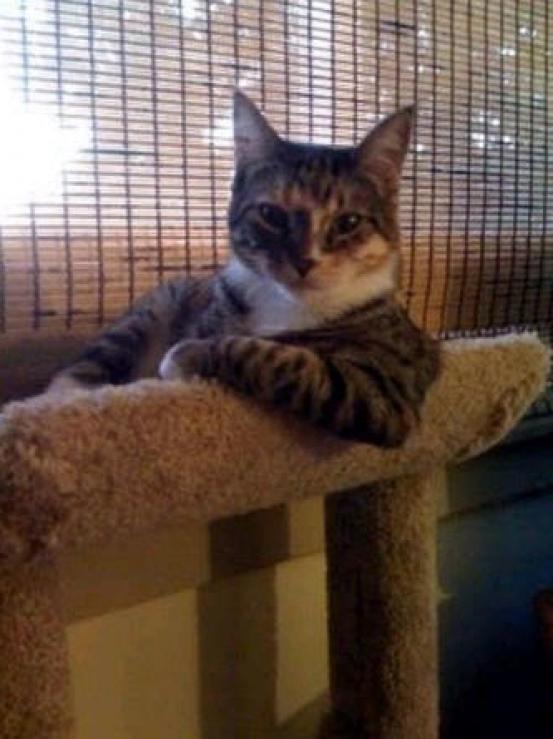 inscription 10bf2d76e1be3ee6ea3d6fa20cdbfcb991906f92224dd2e12c4e1442ba6cb0f8i0