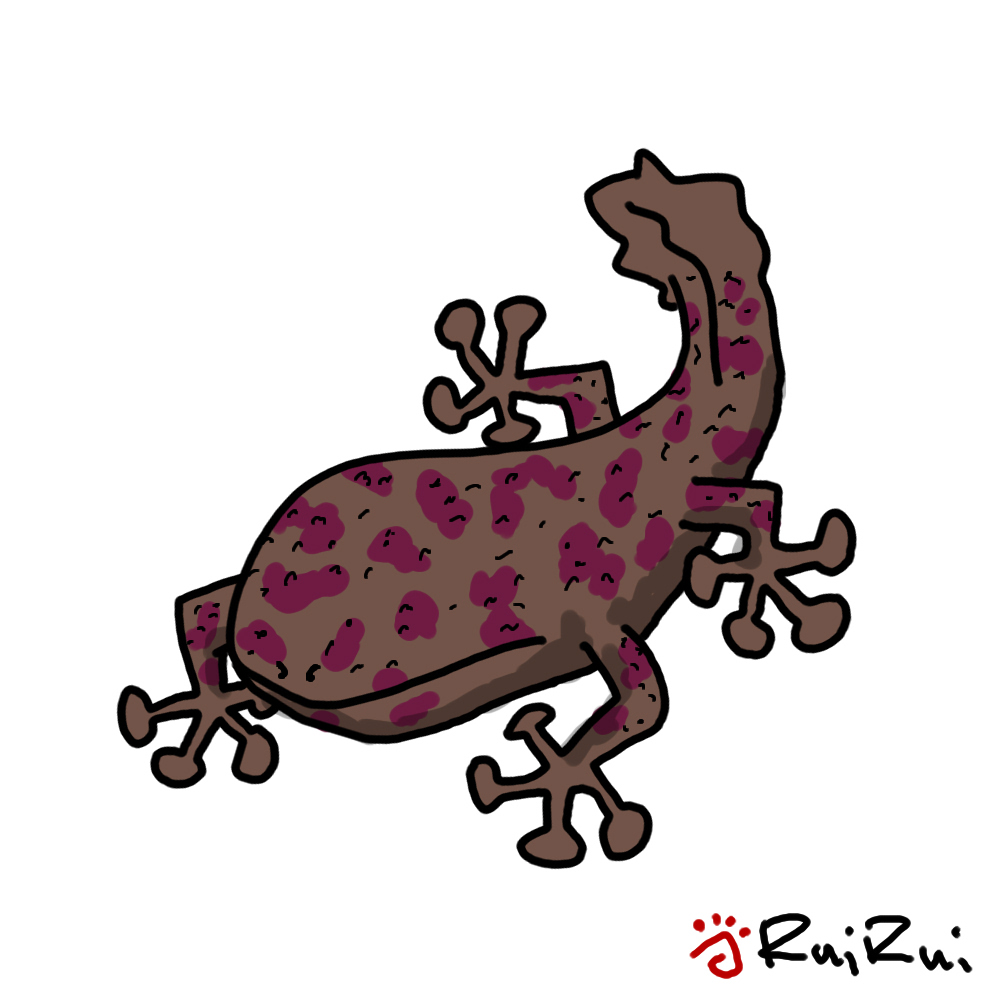 inscription 1dd4755be9ffaac2d025cebca0dadc11d2e392e6bbe2a15b89f0dc05131f96cdi0