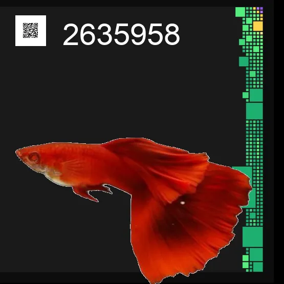 inscription 2371c8024082d0db6db3abb284c2f1eaa92f0b58c7133d0d4be6a612e68fa641i0