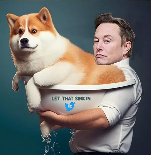 inscription 29ab7a7ba2dcc83a0819c89145c674af08495176024763208c4a33e3962047a7i0