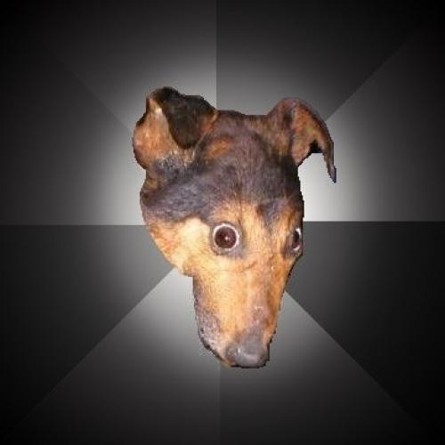 inscription 2da0996abd0e631022a4daf3ed416b2fa4ac3262dca6ee2e2ef93ae4d7fa3cbdi0