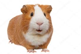 inscription 6319efe2c17a3a86c88c5255e67910e125e9183d0fea63cc8938d03ff5abb3bai0