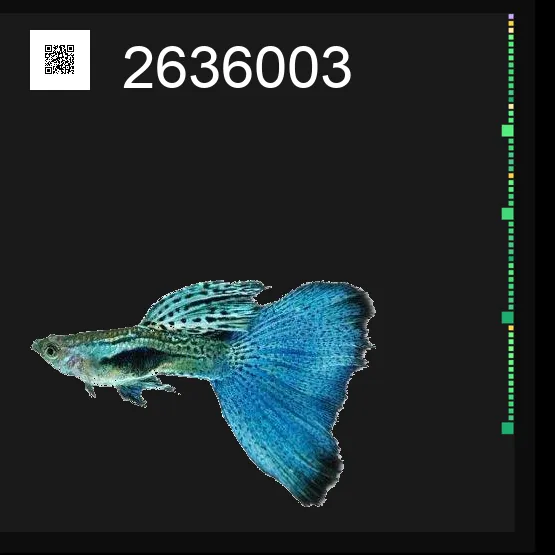 inscription 65d38e5f4e61833fbaa445feecf25e72023a6f806ee51bc656f05c1286b2aefbi0