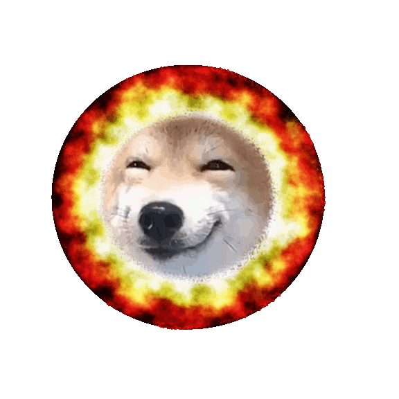 inscription 775493af61fc1d69869495514a6aebb4dc39644d7f9b40c853944dd69d16c44bi0