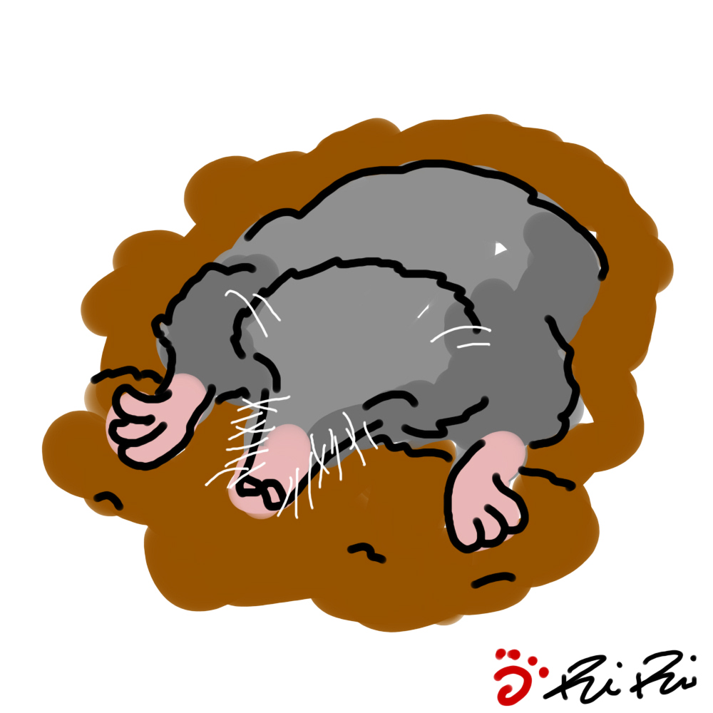 inscription 8da14ecfa876b7d1dc1e33632b8ff572322f28800e7f7c2e2f09ebf5e4bfb8e1i0