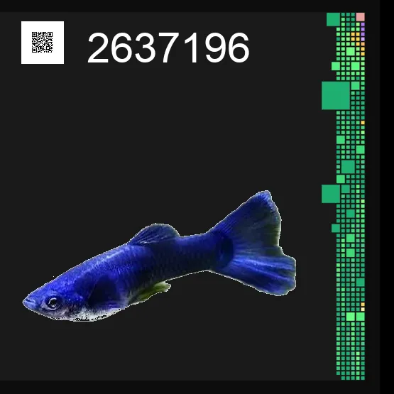 inscription 9a444c8e3727b8789d5102b06339a4f7abaefd17685859c91c8277587ddd74bci0