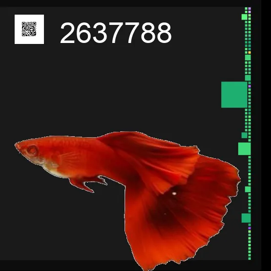 inscription baae442bd3ceff0378fb383d6eba9d6b9a2bf1f59a6de5bc161eaa11f4a4e93fi0