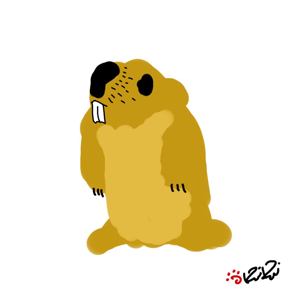 inscription bf7a1e701f0ce3c7ec7933f8541ddfe0f4537949c645e40db1dab8fd901bf462i0