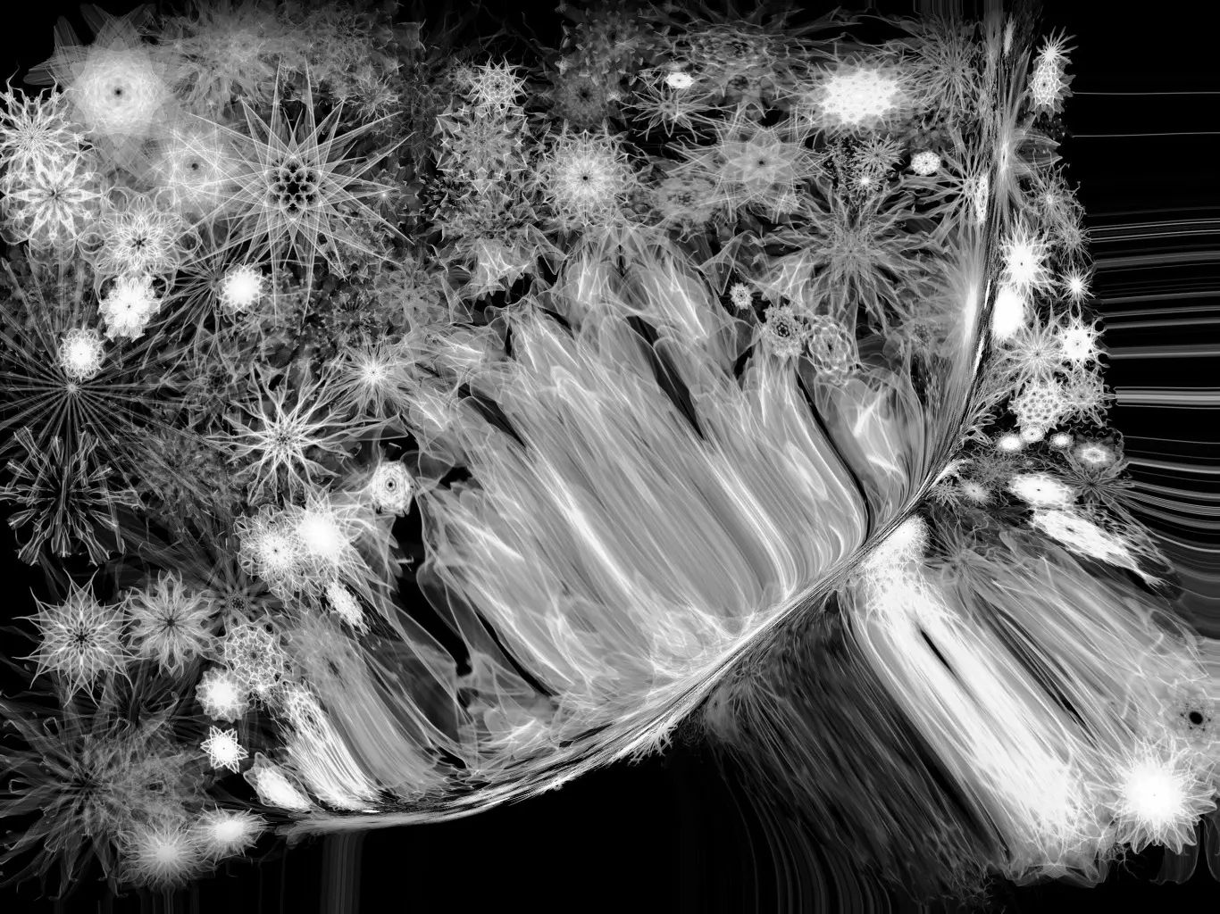 inscription c2c65bd59a7b0c52927f75e9dc3ef64dff55dd02f9f5e978e0d36826d30b3643i0