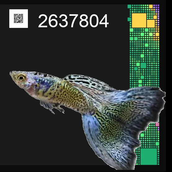 inscription ca187864f7eba81fe5faebcbae4307db685bf0d851803ce92c8f2a030378df09i0