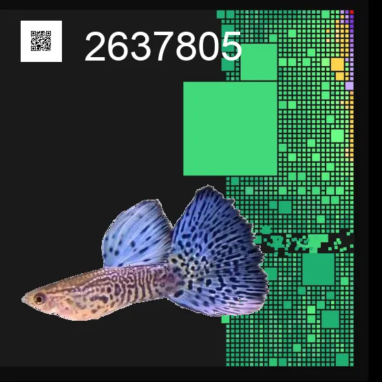 inscription cc70165df52677a69e6c3f663fba2d4ffa4a4dc640023ff8594507efaba3441ei0