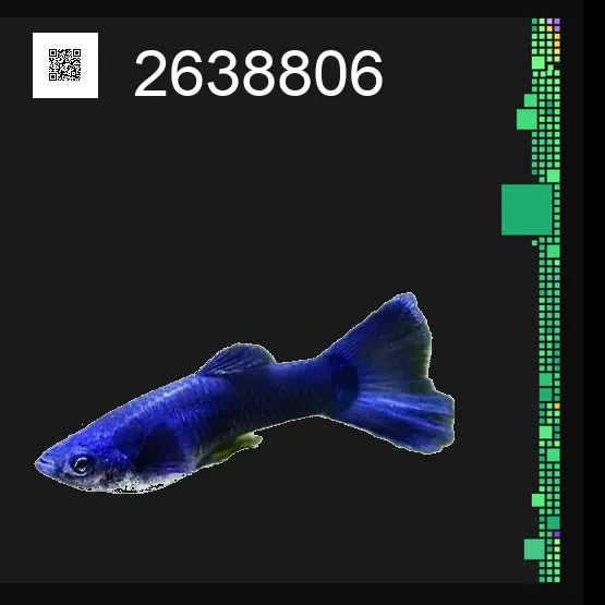 inscription dafd915c0fcb8565bbb8f9f3cf23f4bc51ee8dc17b6cf447d5d319a930b2d137i0