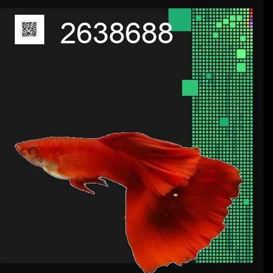 inscription dc0aceba9c4dcc090e8e0d57ddbdebee7295cbd2b7de0334ae55d7daf61aead9i0