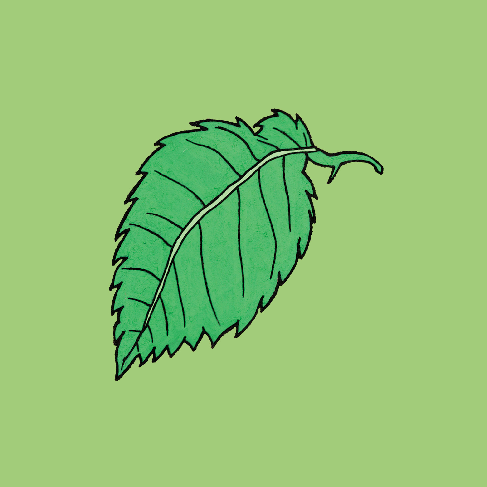 inscription dea05043c8cf322801b7e9503fbaa7c3d80de34d564a410861a62b4e6a02a313i0