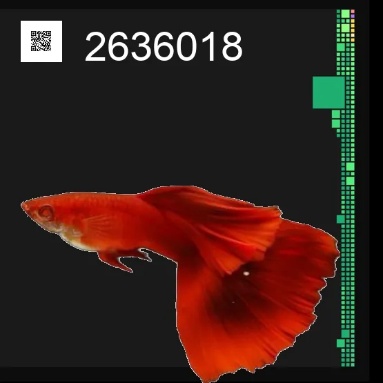 inscription f24e8af04a17c9b86d017bdbef1f459839b8efa0c5668f085c58dafbfbb2002ci0